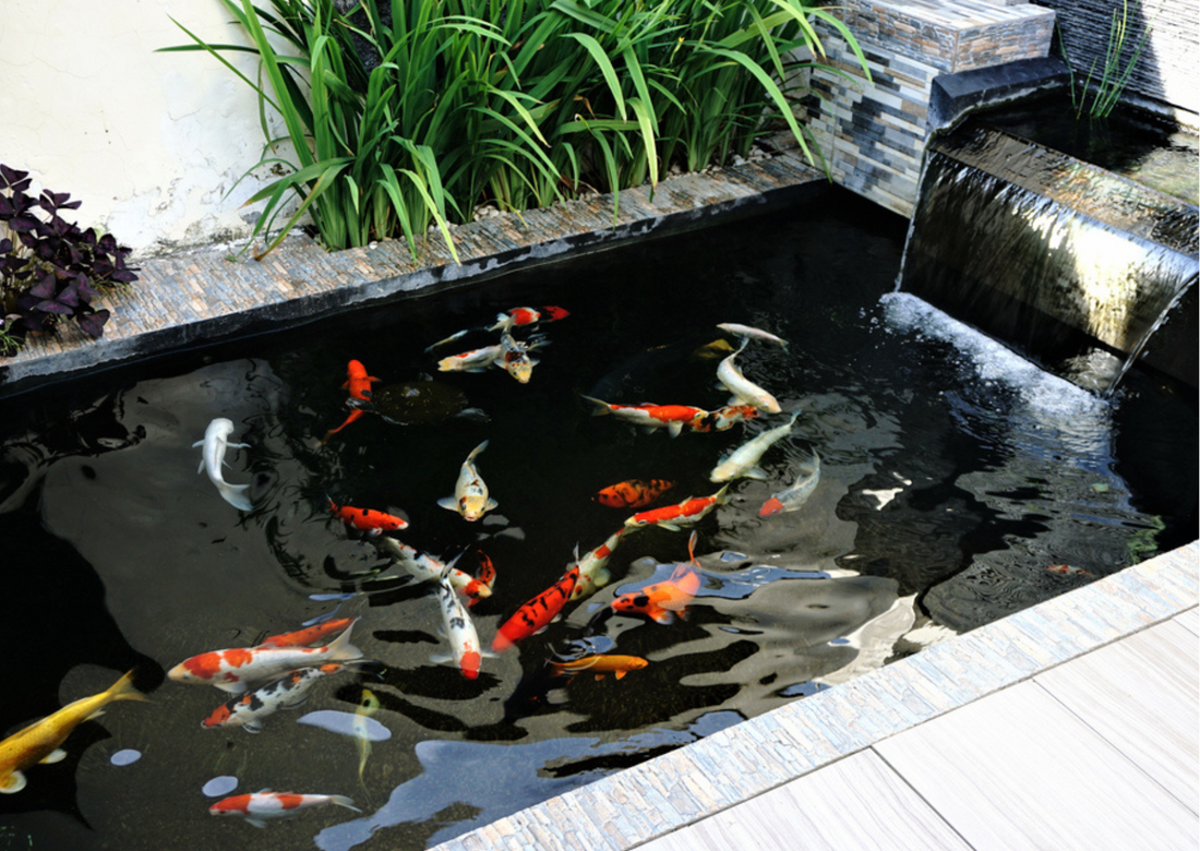 The Best Submersible Pond Pumps for 2024 | Real Aquatics