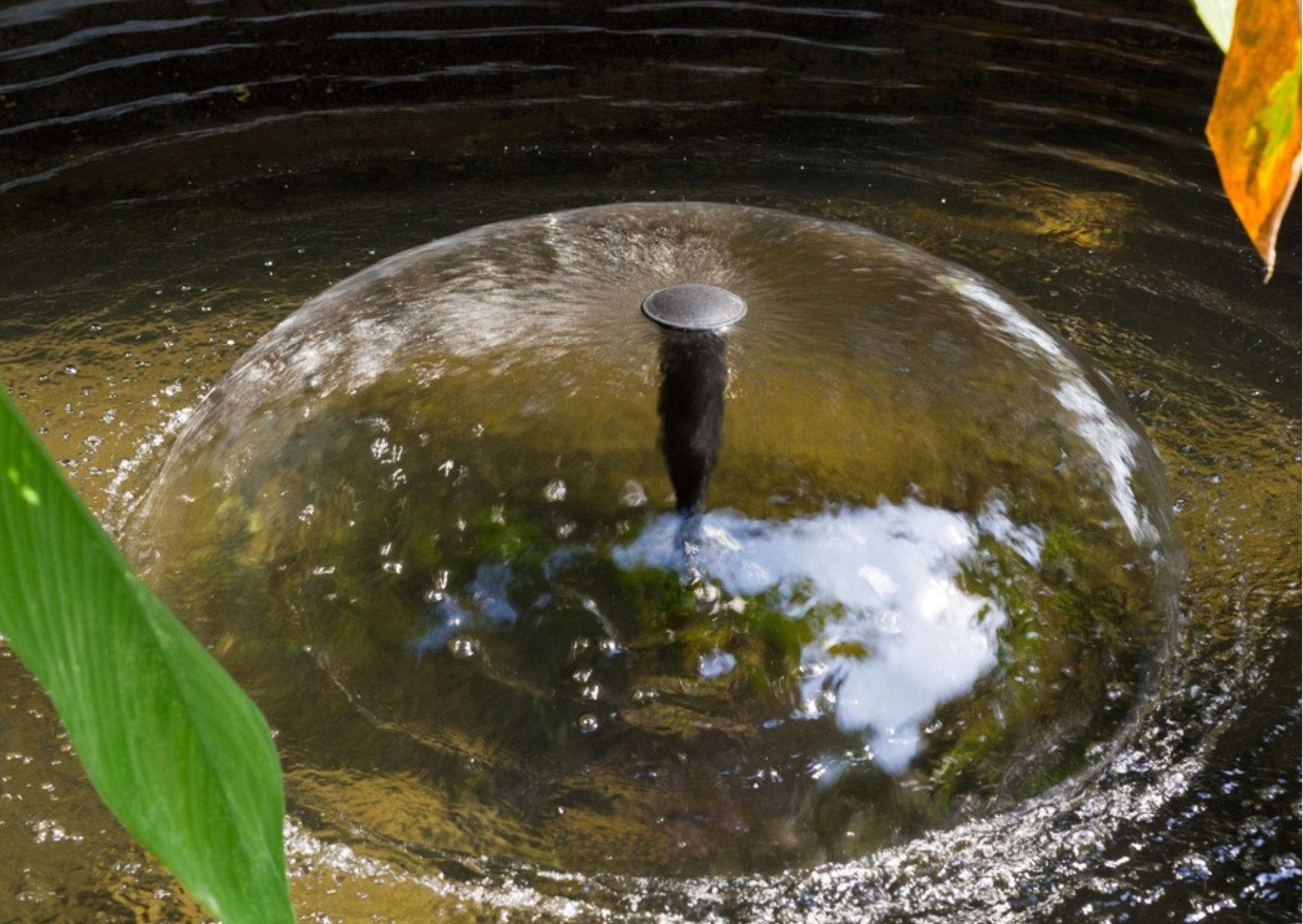 Should I Leave my Pond Pump Running All Day and Night?