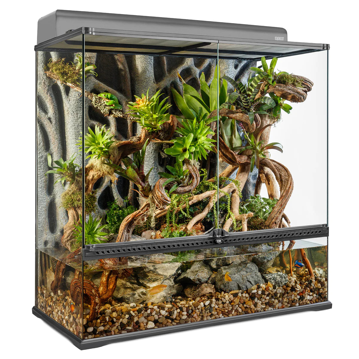 Reptile Housing