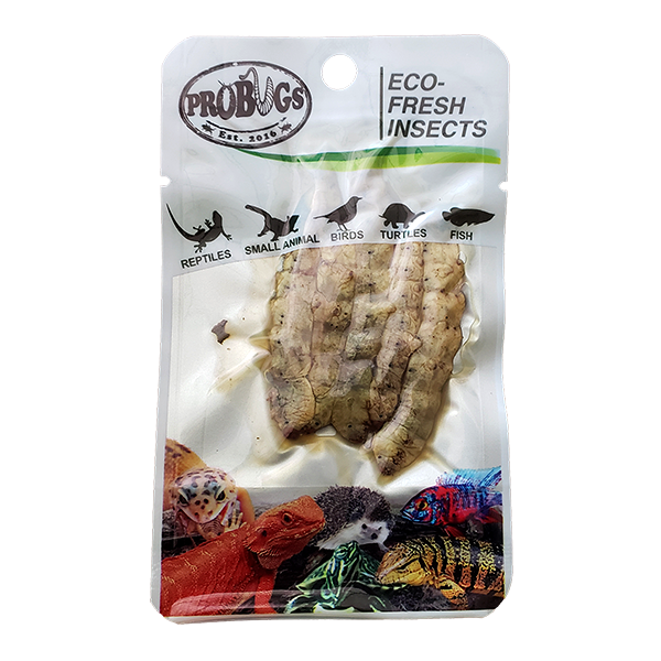 Vacuum Packed Insects