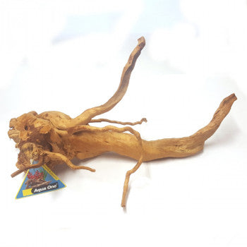 Azalea Driftwood & Bonsai