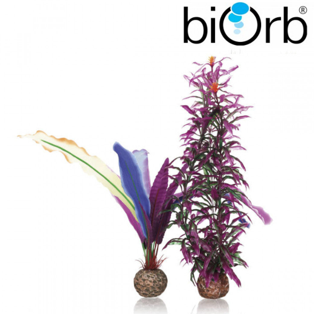 BiOrb Plants