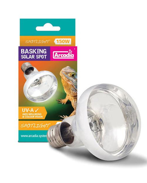 Spot Light Bulbs
