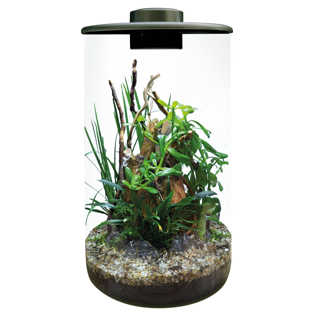 BioArt CYLINDER Terrarium Micro Landscape Black 4L