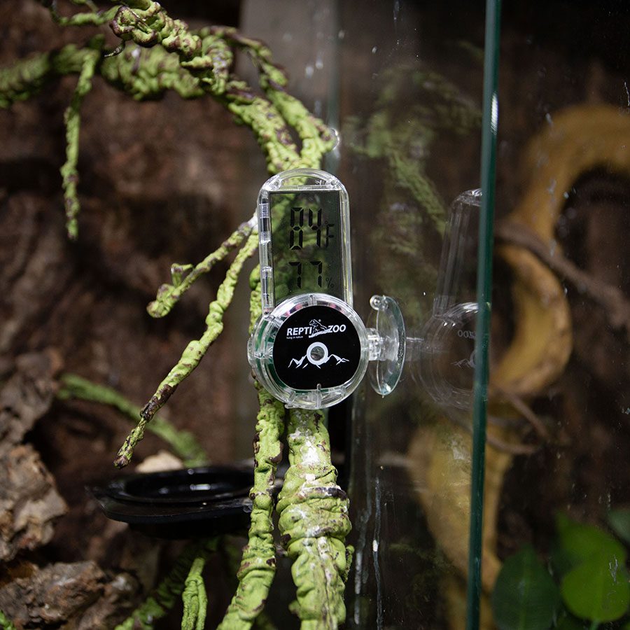 ReptiZoo Digital Thermo-Hygro with Suction Cup & Probe