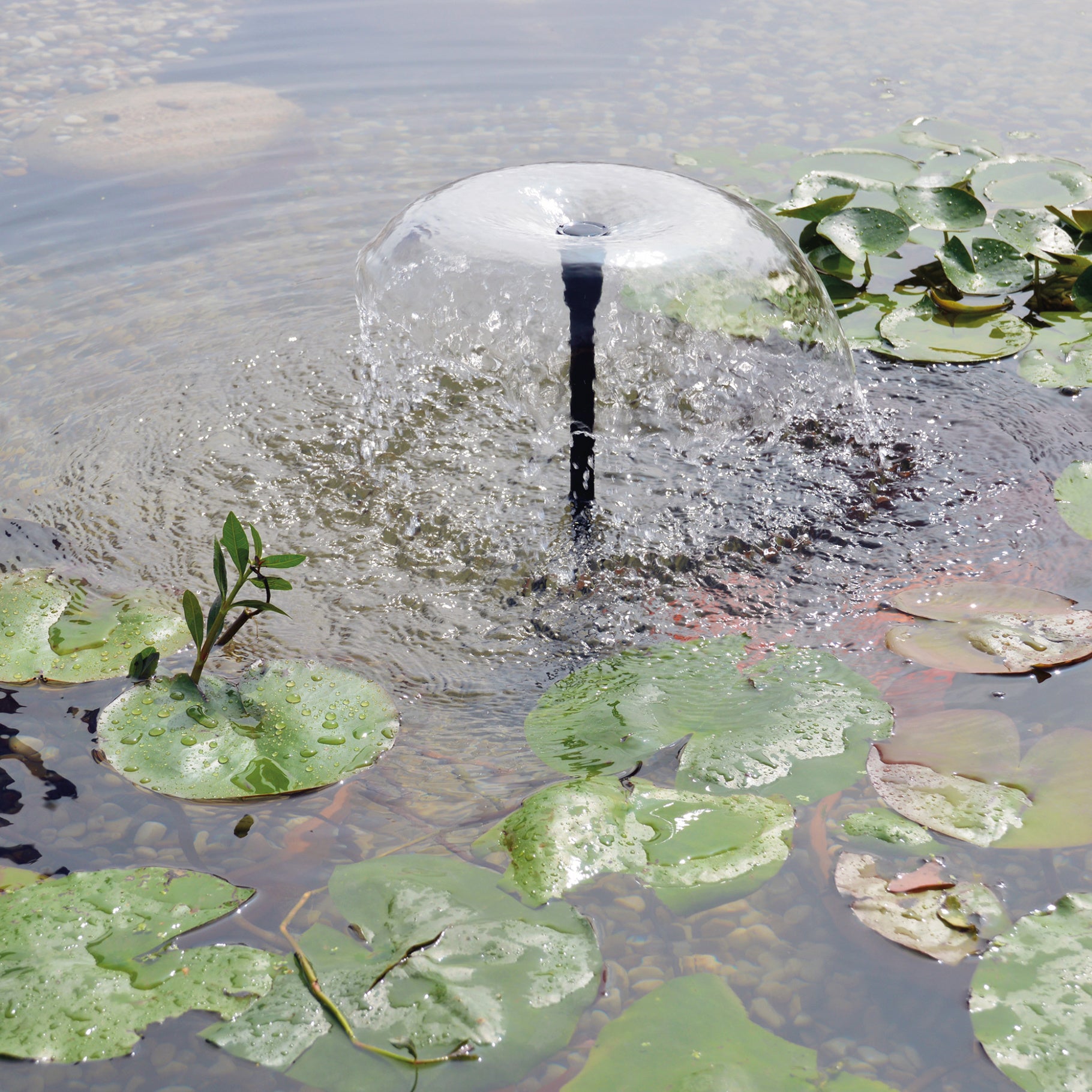 Betta Choice SOLAR 1400 Fountain Pump Set