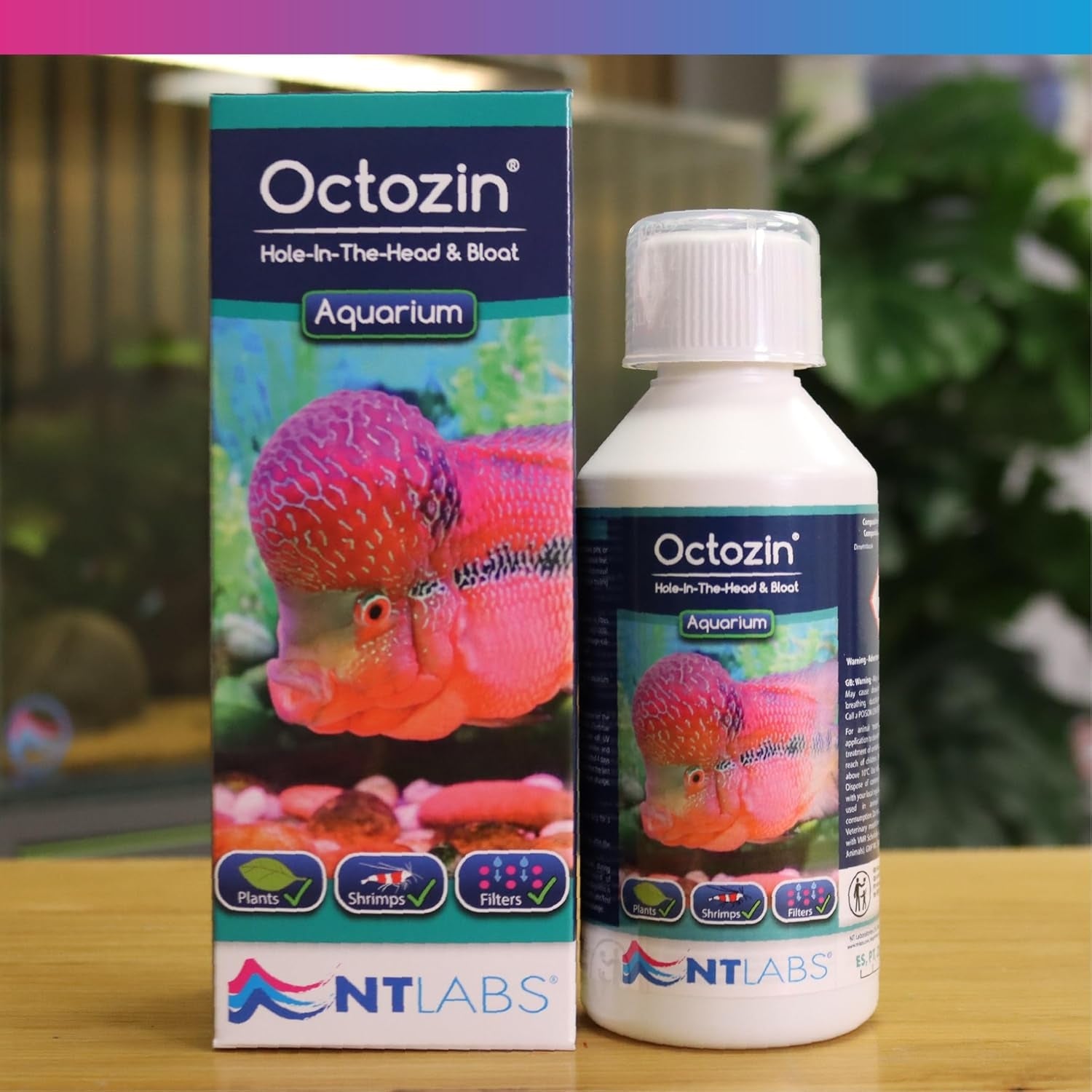 NT Labs Octozin Hole in the Head & Bloat Disease Treatment 250ml