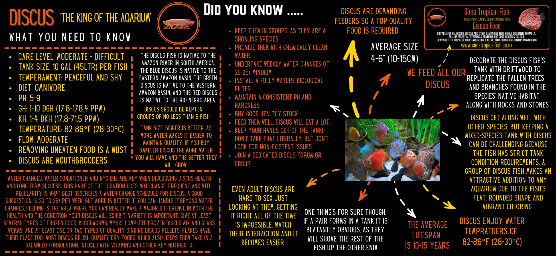 Yellow Pigeon Snakeskin Discus - Real Aquatics