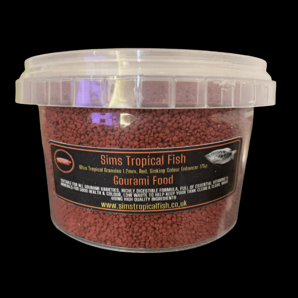 Gold Gourami Trichopodus Trichopterus 5cm - Real Aquatics
