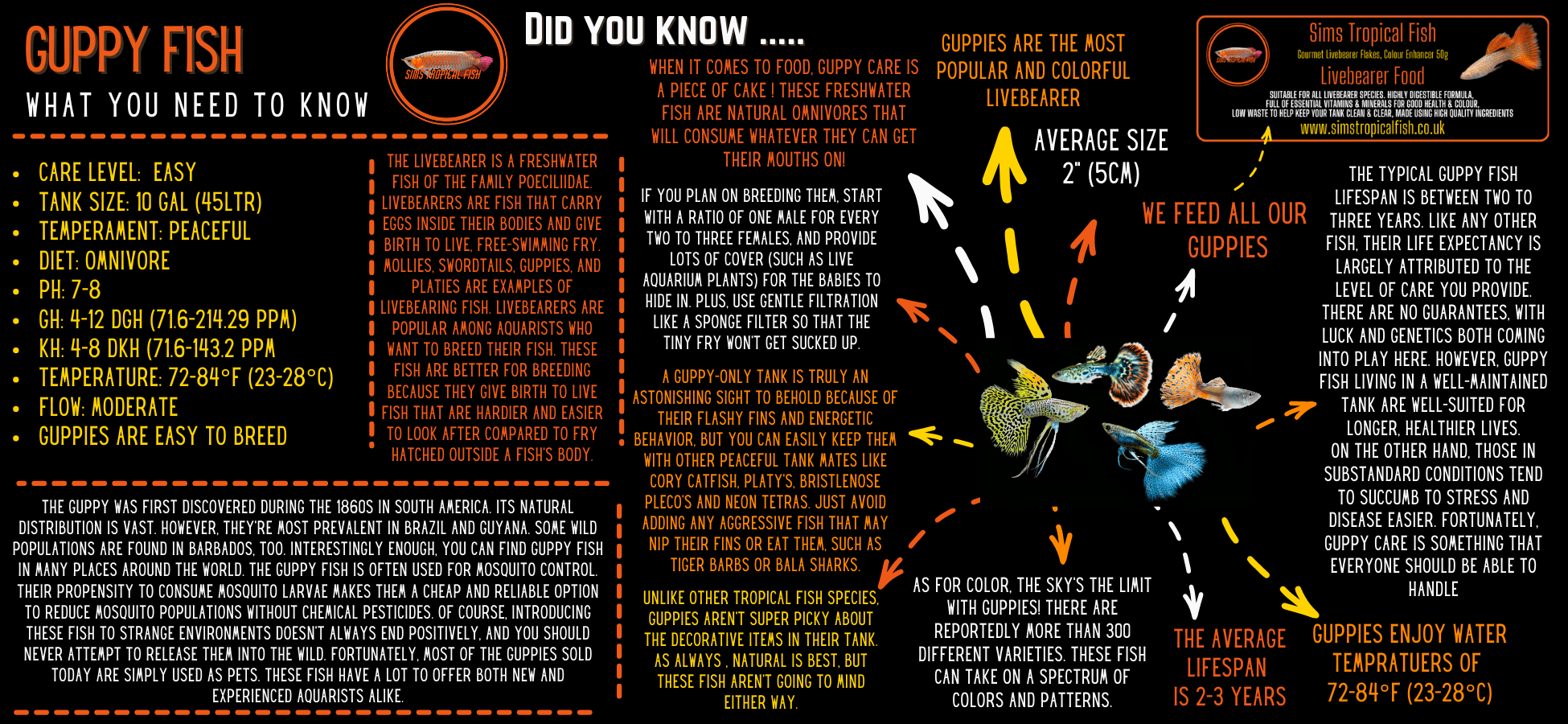 Cobra Koi Guppy Poecilia Reticulata 3cm - Real Aquatics