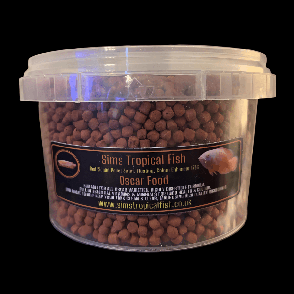 Lemon Oscar Yellow Astronotus Ocellatus - Real Aquatics