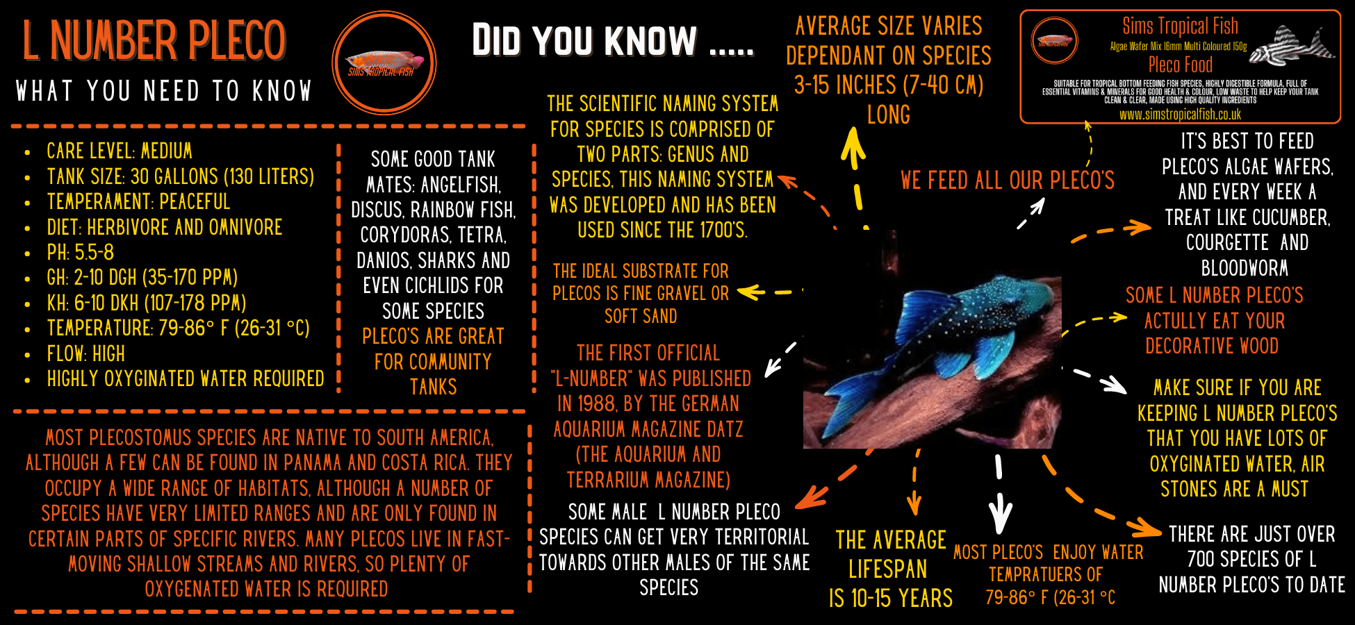 Assorted L Number Pleco