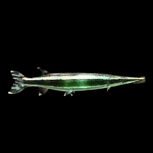 Striped Gar Boulengerella Lateristriga 10cm - Real Aquatics