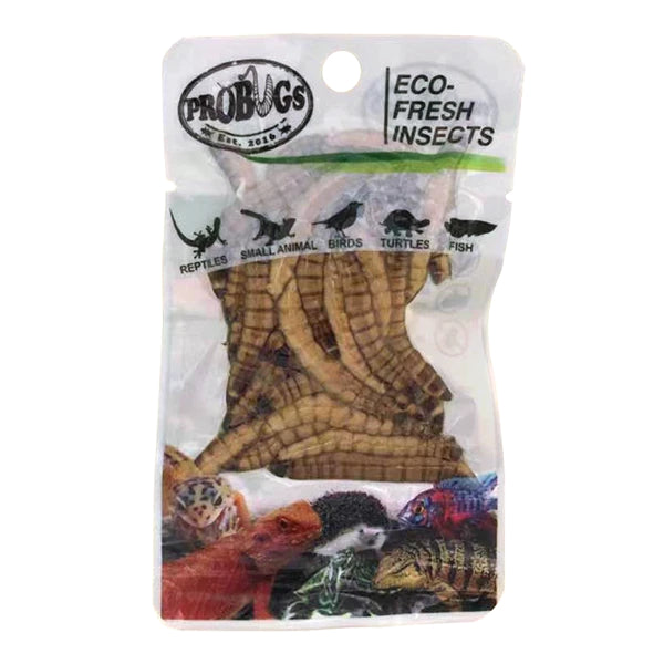 ProBugs Eco Fresh Insects Superworms 20g