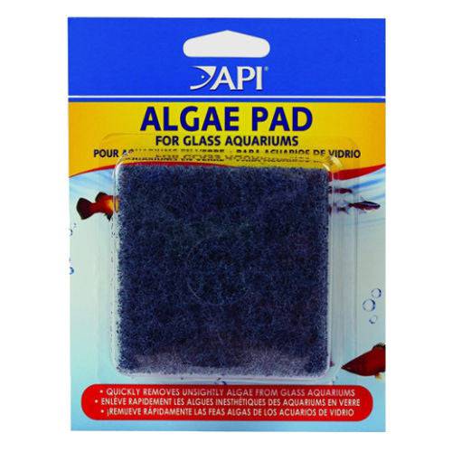 API Glass Aquarium Algae Pad Hand Held Cleaning / Maintenance - Real Aquatics