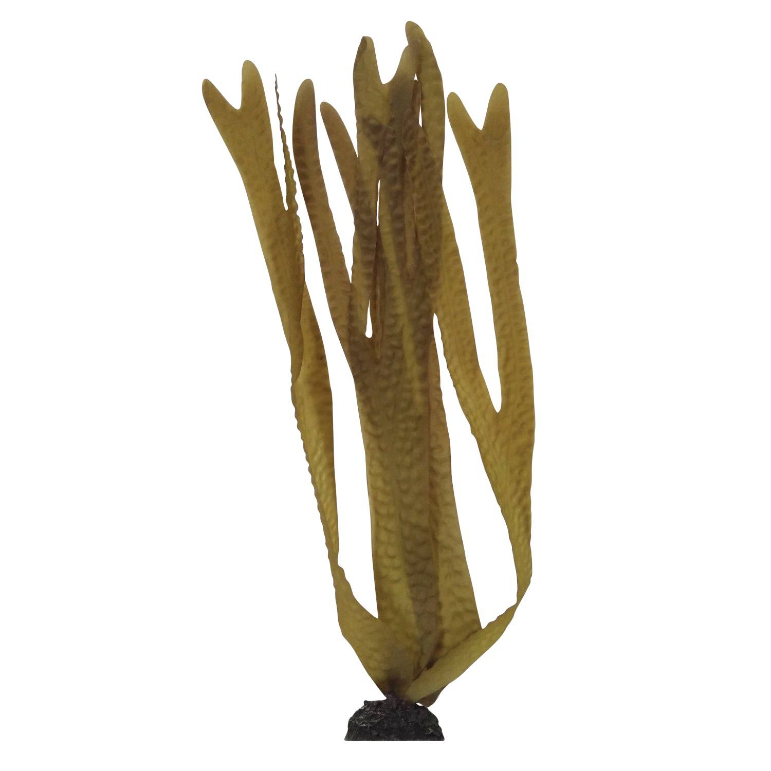 Aqua One Silk Plants Decorscape Laminaria 3 Sizes - Real Aquatics