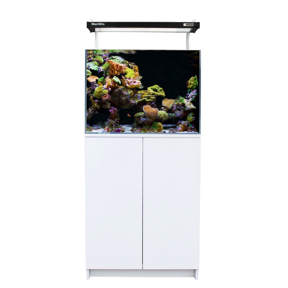 Aqua One MiniReef 120 Aquarium & Cabinet 120L Black & White - Real Aquatics