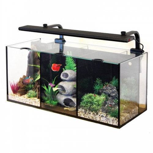 Aqua One Aquarium Fish Tank Betta Trio 32L - Real Aquatics