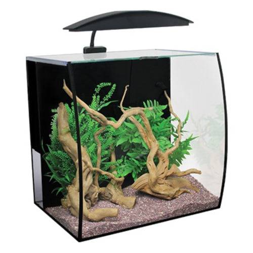 Aqua One Arc 46 Aquarium Fish Tank Bow Front 46L - Real Aquatics