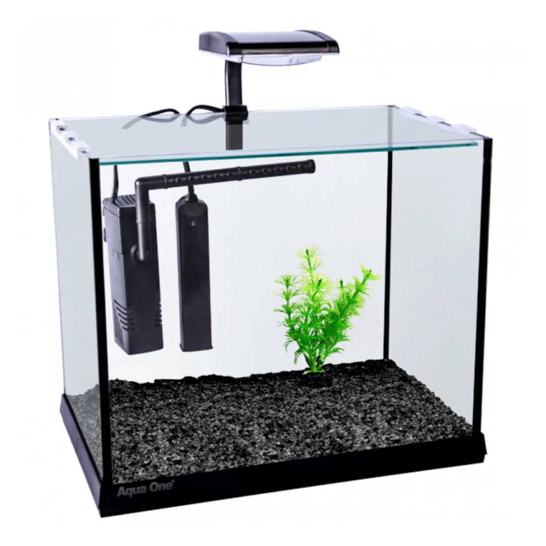 Aqua One Betta Oasis Fish Tank Aquarium 13L - Real Aquatics