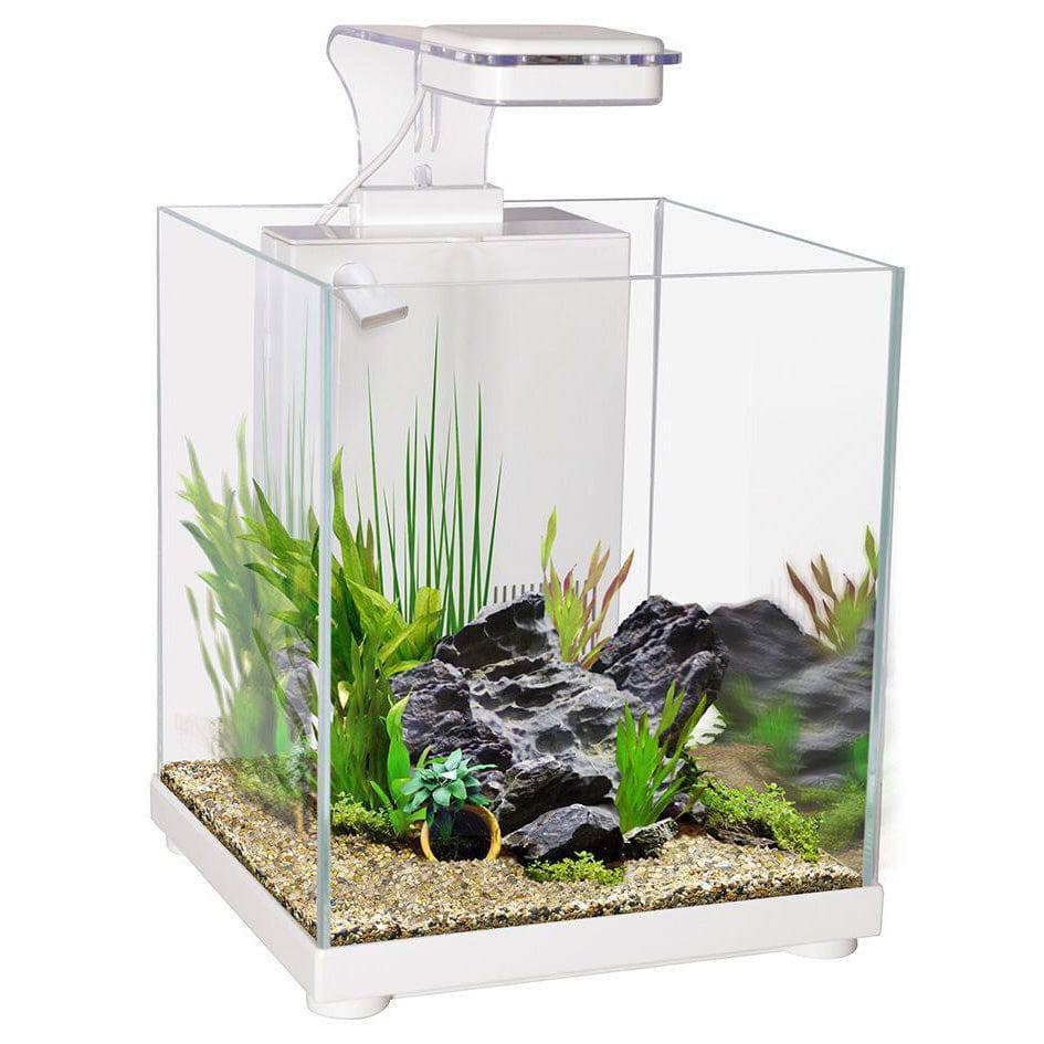 Aqua One Betta Sanctuary Fish Tank White 10L - Real Aquatics