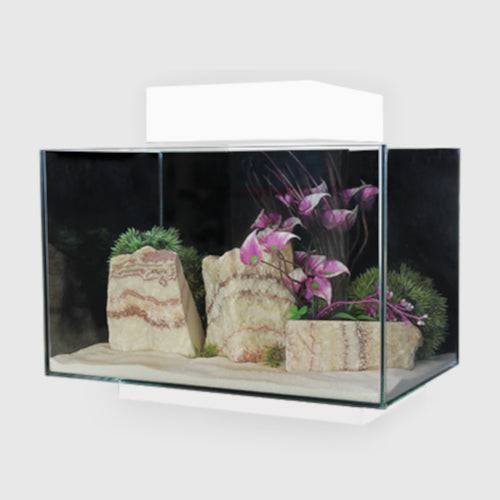 Aqua One Platform 21 Aquarium Fish Tank 40cm 21L White - Real Aquatics