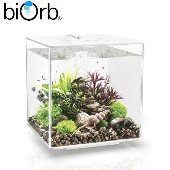 BiOrb Cube 30 Aquarium MCR LED Lighting Black / White / Clear - Real Aquatics