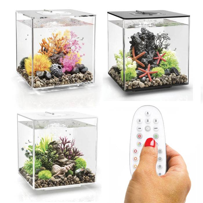 BiOrb Cube 30 Aquarium MCR LED Lighting Black / White / Clear - Real Aquatics