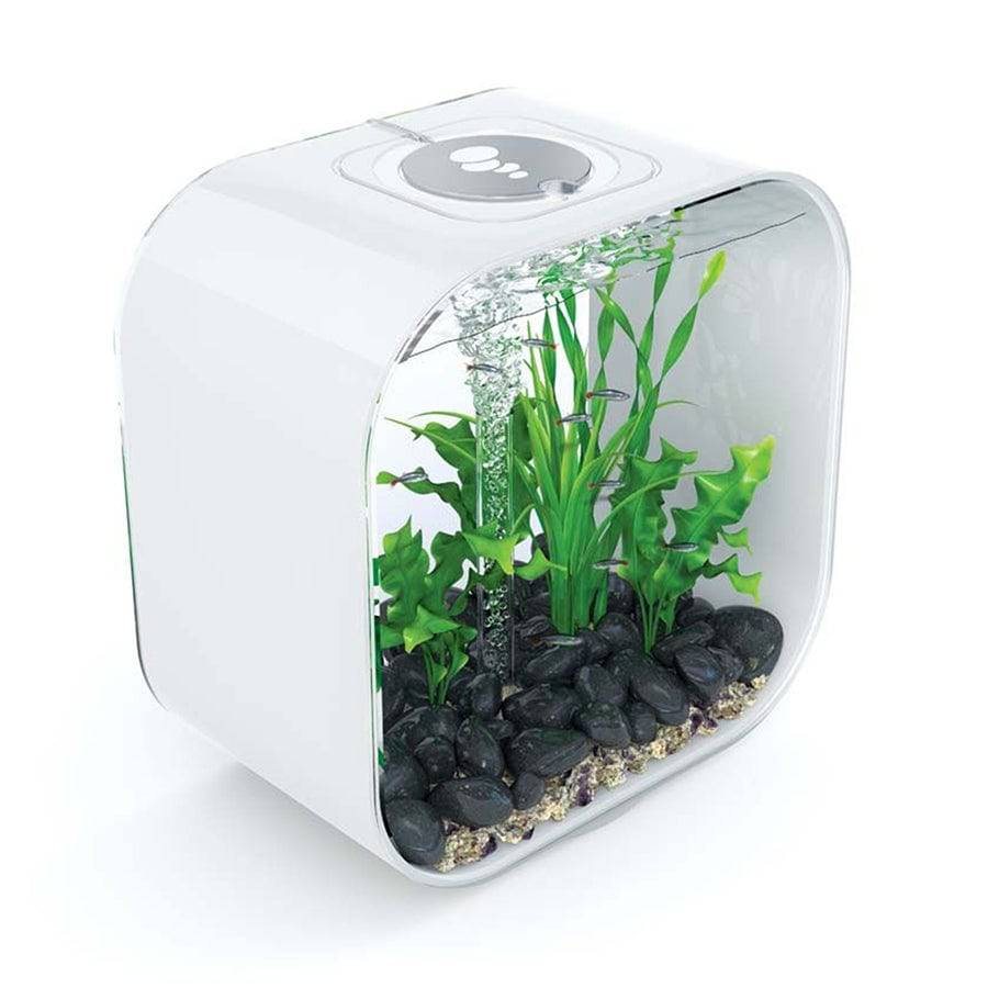 BiOrb Life 30L Aquarium MCR LED Lighting Black / White / Clear - Real Aquatics