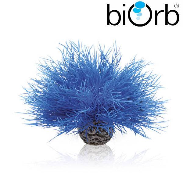 BiOrb Aquatic Sea Lily Blue 46076 - Real Aquatics