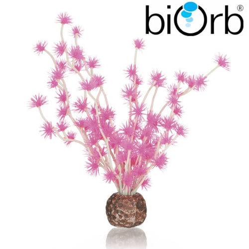 BiOrb Bonsai Ball Pink 55067 - Real Aquatics