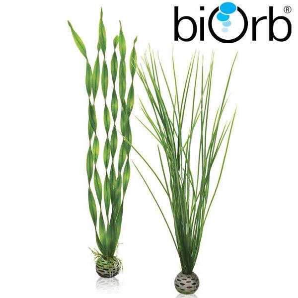 BiOrb Easy Plant Set Green Large Pk of 2 46057 - Real Aquatics