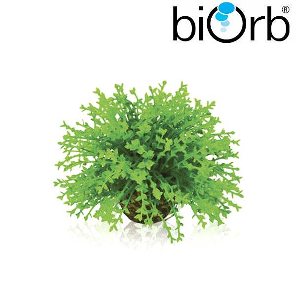 BiOrb Flower Ball Green 46087 - Real Aquatics