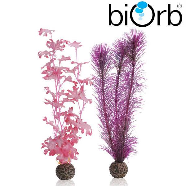 BiOrb Kelp Set Pink Medium Pk of 2 46082 - Real Aquatics