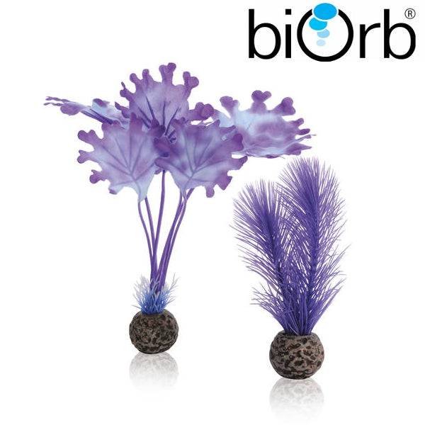 BiOrb Kelp Set Purple Small Pk of 2 46079 - Real Aquatics