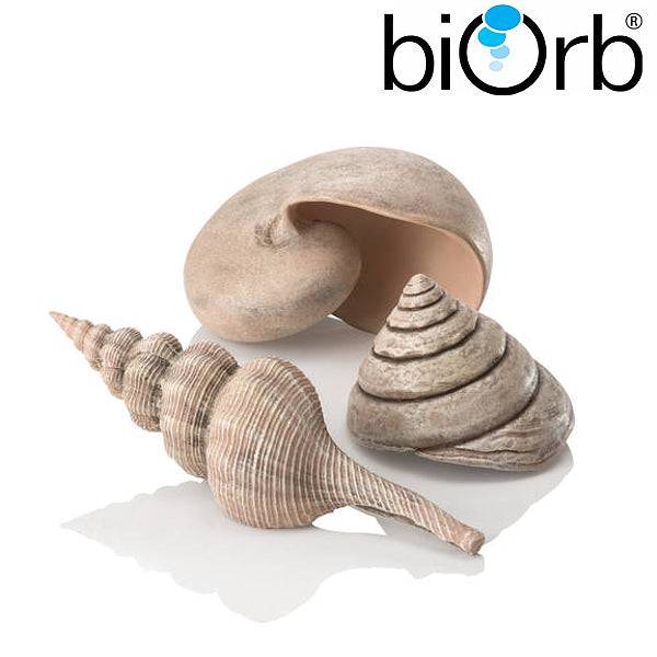 BiOrb Sea Shells Natural Set of 3 48355 - Real Aquatics