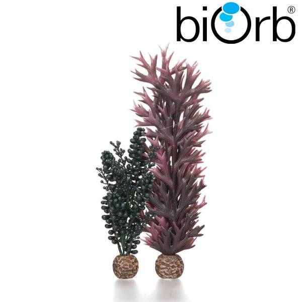 BiOrb Seapearls & Kelp Dark Green Pk of 2 55074 - Real Aquatics