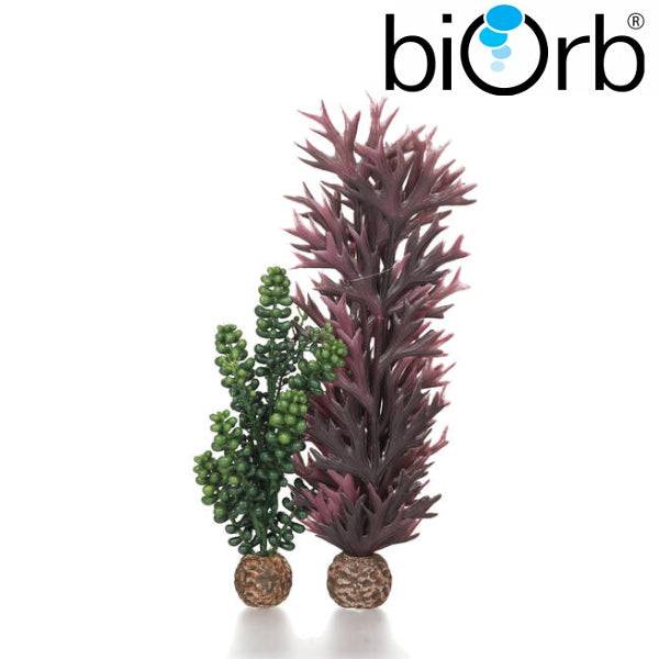 BiOrb Seapearls & Kelp Olive Green Pk of 2 55073 - Real Aquatics