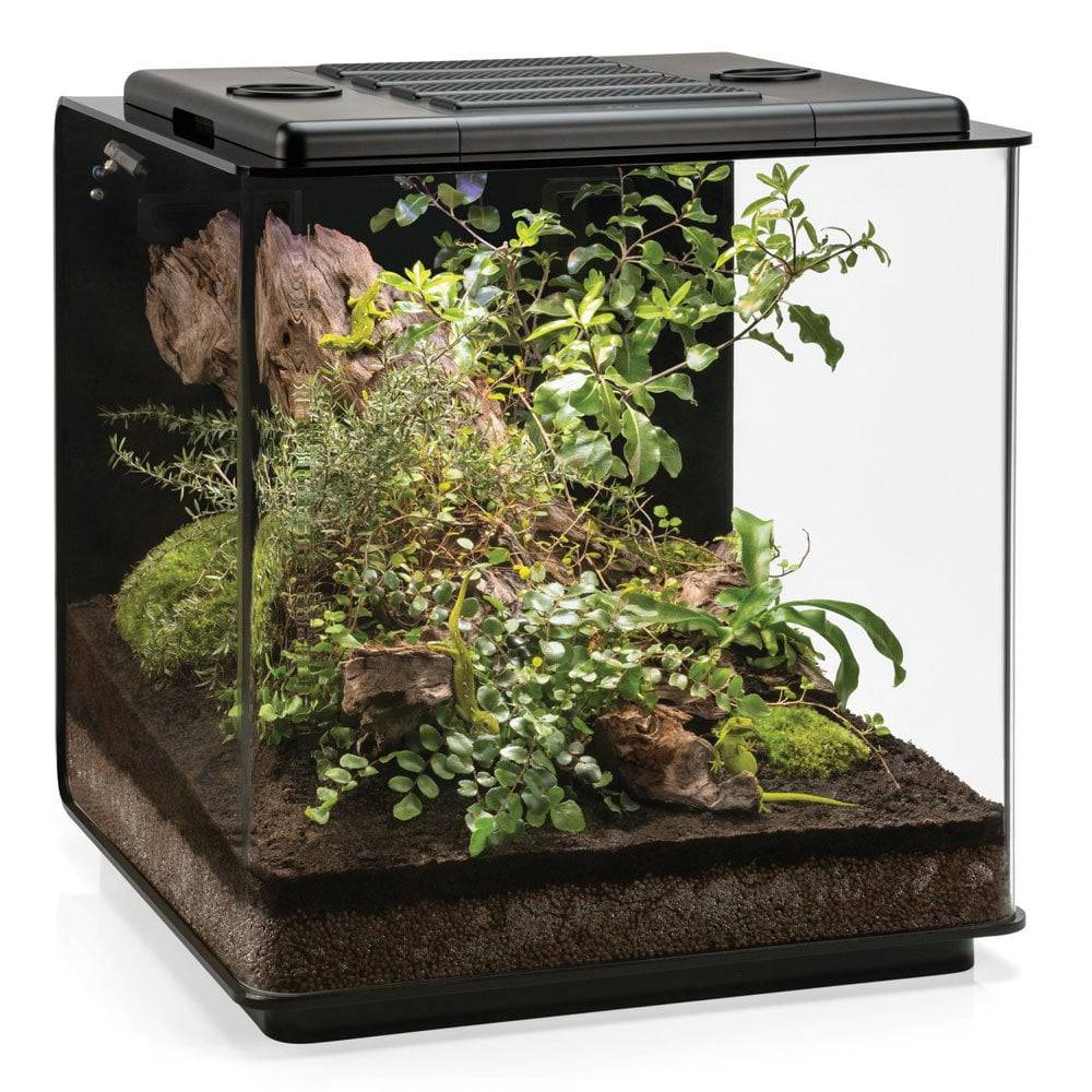 biOrb EARTH 125 Terrarium