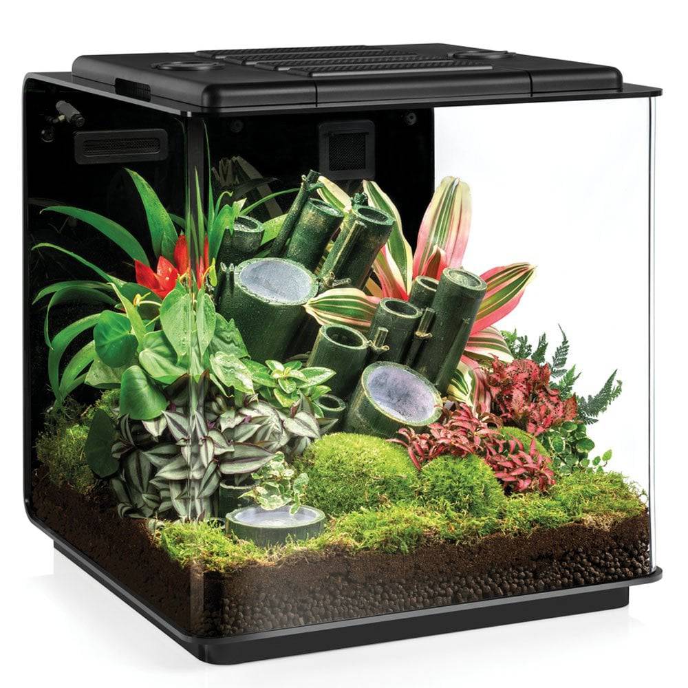 biOrb EARTH 125 Terrarium