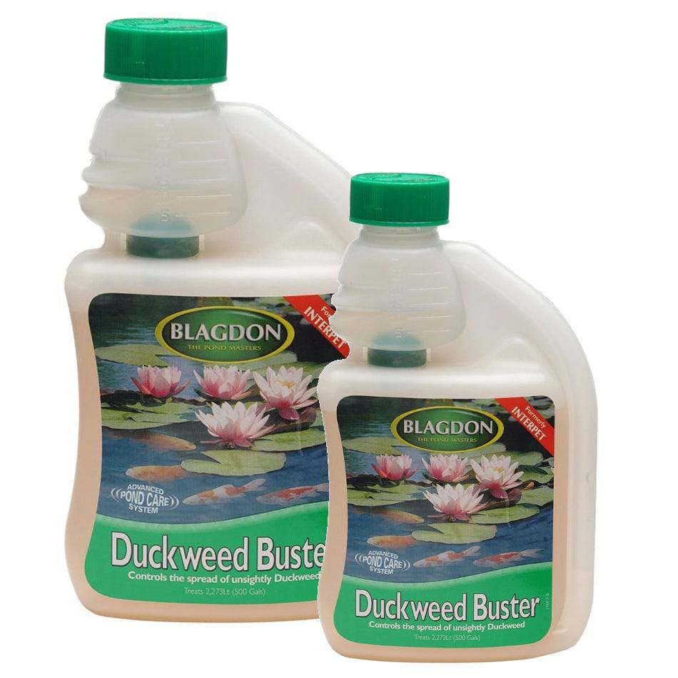 Blagdon Pond Duckweed Buster 250-1000ml - Real Aquatics