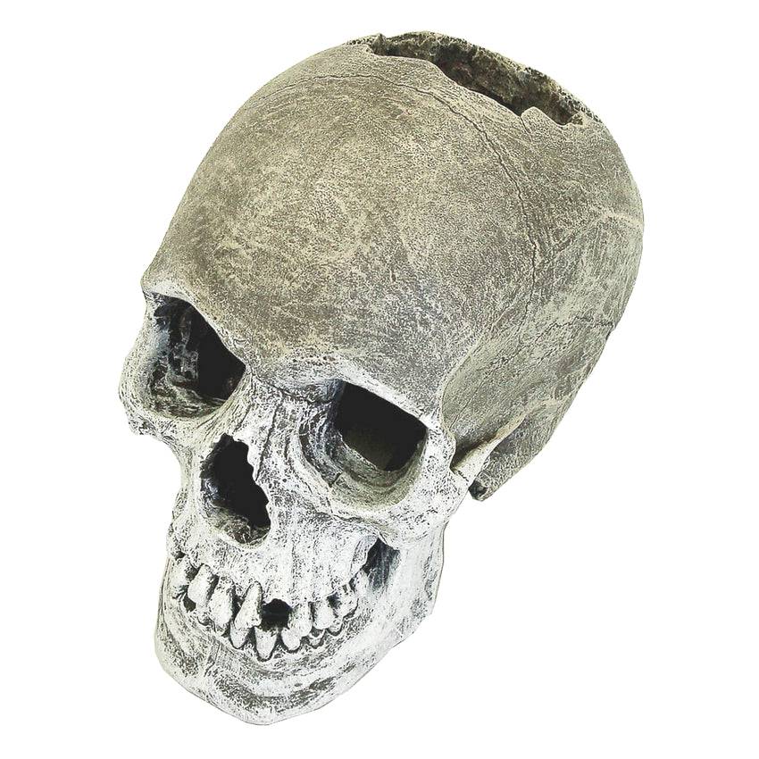 Blue Ribbon Aquarium Ornaments Life-Like Human Skull - Real Aquatics