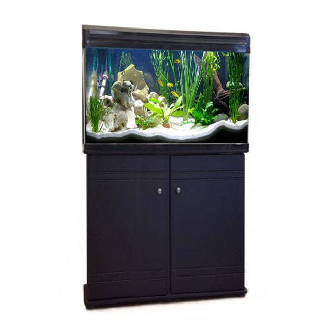 BOYU Aquarium Fish Tank & Cabinet 60cm 80L Black / White