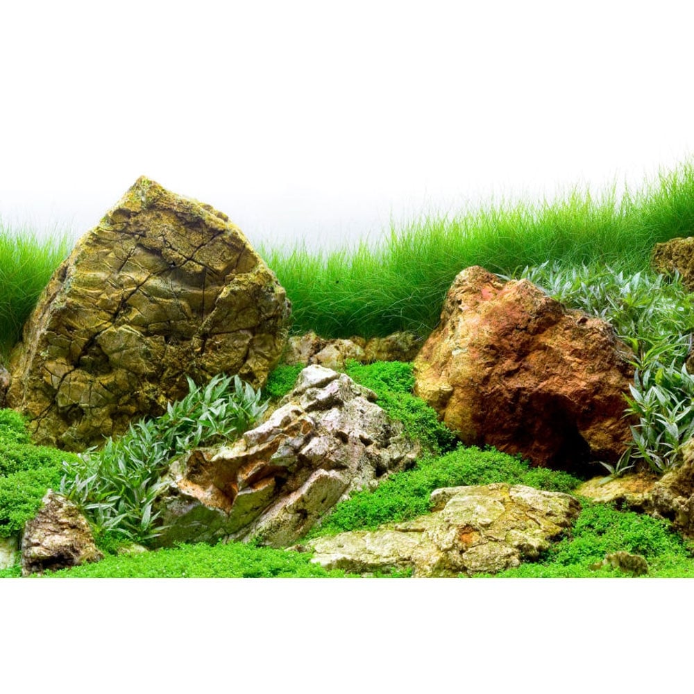 Marina River Rock & Japanese Garden Aquarium Double Sided Background