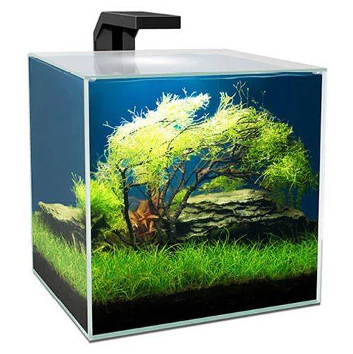 Ciano Shrimp Aquarium Tank CUBE 15 & Led Lighting 14.5L - Real Aquatics