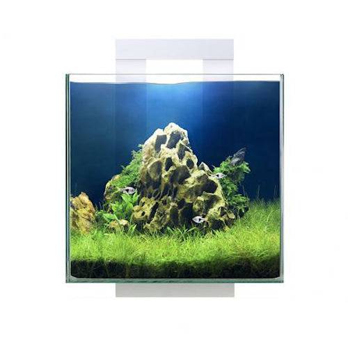 Ciano Shrimp Aquarium Tank NEXUS Pure 15 & Led Lighting 14L - Real Aquatics