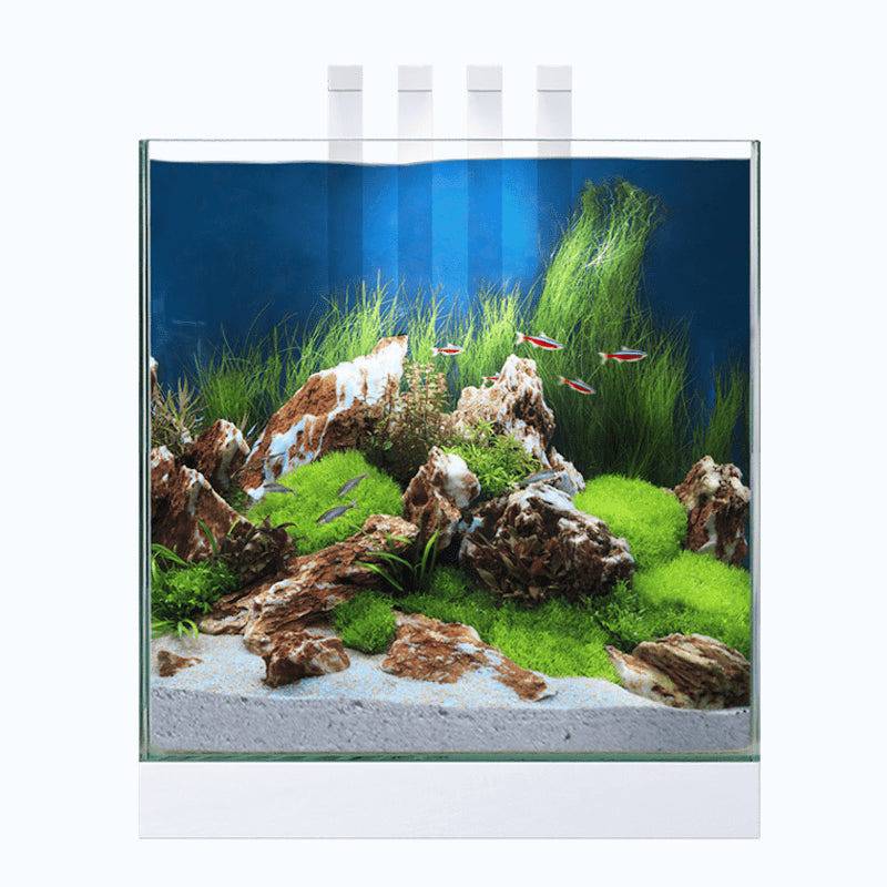 Ciano Shrimp & Small Fish Aquarium Tank NEXUS Pure 25 & Led Lighting 22L - Real Aquatics