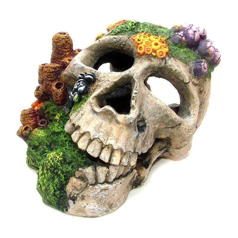 Classic Aquatics Skull & Coral Growth Ornament - Real Aquatics