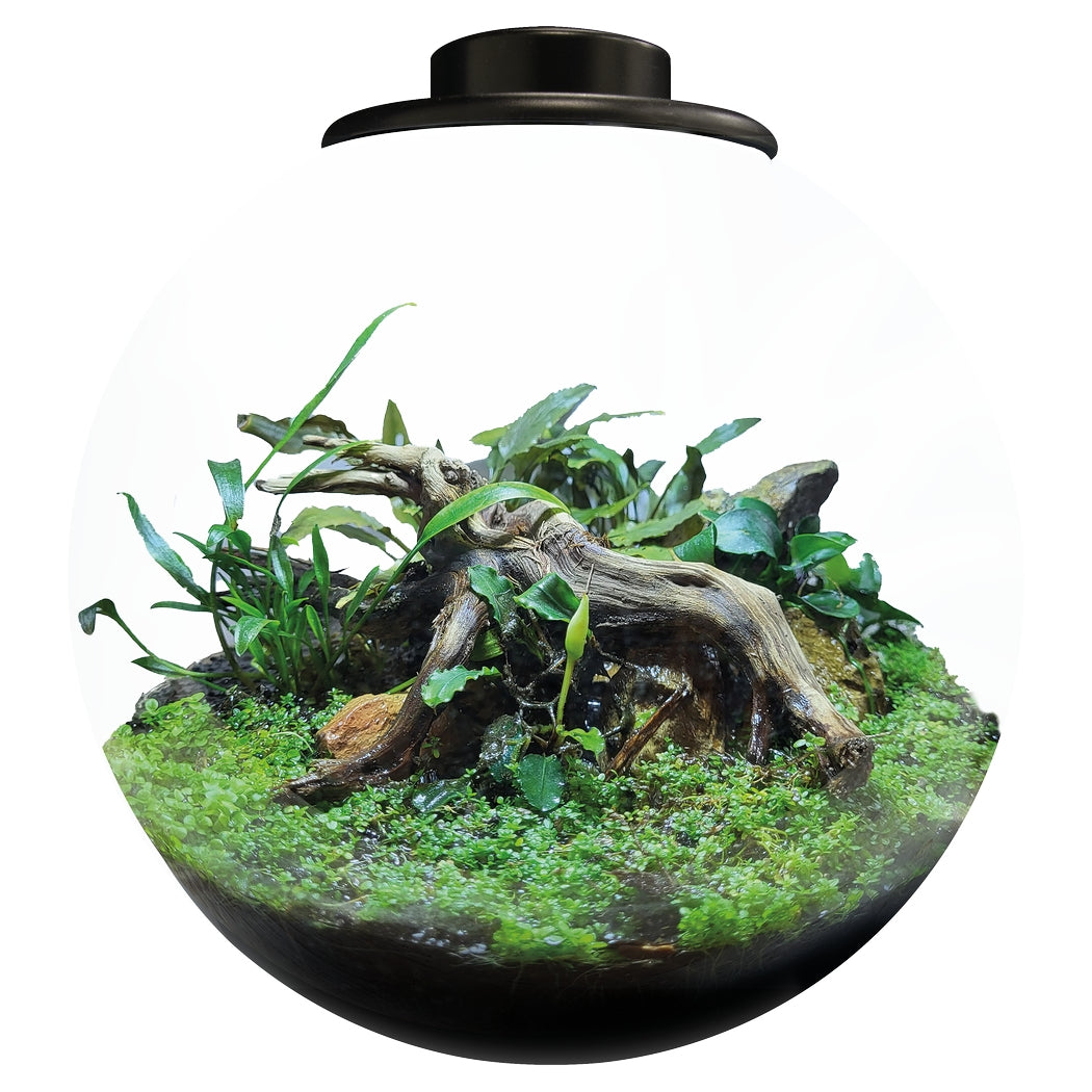 BioArt BOWL Terrarium Micro Landscape Black 5.1L