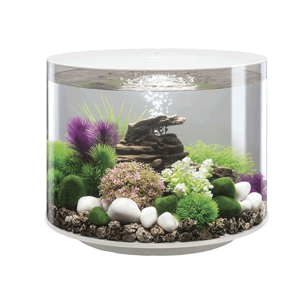 biOrb Tube 35L Aquarium with MCR LED Lighting